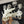 Bone-Dragon-Fursuit-Skull-Head-with-Moving-Jaw-Fantasy-Creature-Cosplay-Head_11