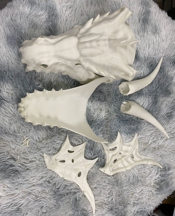 Bone-Dragon-Fursuit-Skull-Head-with-Moving-Jaw-Fantasy-Creature-Cosplay-Head_12