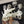 Bone-Dragon-Fursuit-Skull-Head-with-Moving-Jaw-Fantasy-Creature-Cosplay-Head_3