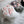FurMakers Plush Puffy Fursuit Hand Paws with Five Digit Design and Toony Paw Pads