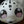 Kemono Style Fursuit Head Base Kit with Ventilated Shell and Custom Anime Eyes