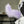Premium Faux Fur Character Tail with Natural Movement for Fursuits and Cosplay