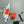 Professional High Velocity Portable Cooling Fan for Fursuit Performance