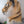 Realistic Bengal Tiger Fursuit Head with Articulated Jaw and Vivid Follow Me Eyes